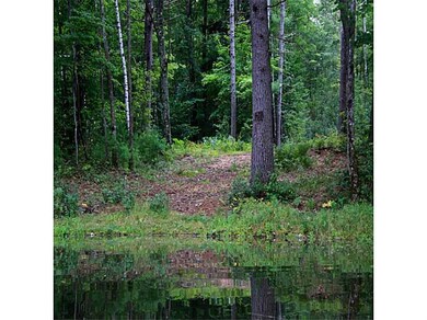 Land/Lot. Another view of cleared...