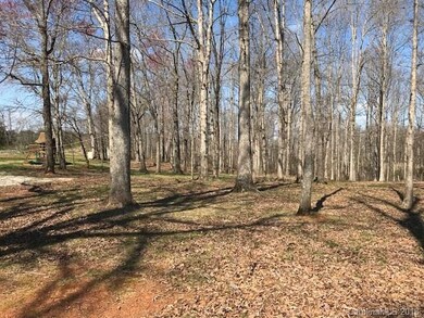 279 Church Lake Rd, Statesville, NC 28625 - photo 5