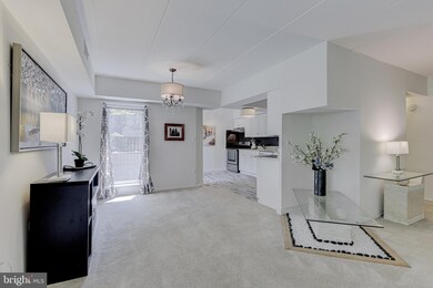 5390 Smooth Meadow Way, Columbia, MD 21044 - photo 6