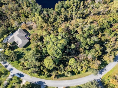 3827 Rambling Acres Dr, Titusville, FL 32796 - photo 7