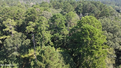 997 Morgantown Rd, Foxworth, MS 39483 - photo 4