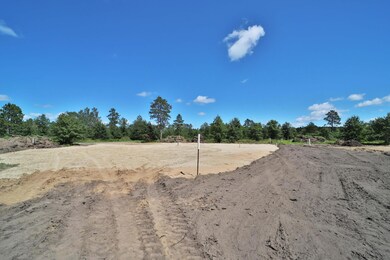 TBD Park Dr unit 21, Menahga, MN 56464 - photo 6