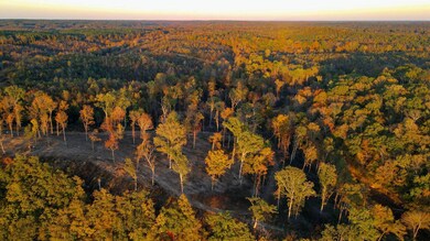 3 Lake Bend Shores, Florence, AL 35633 - photo 7