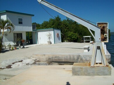 Boat ramp-davits