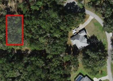 297 W Whitmarsh Ct, Citrus Springs, FL 34434 - photo 2