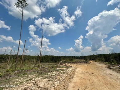 0 Whitetown Ln, Hazlehurst, MS 39083 - photo 7