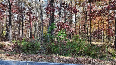 00000 Poplar St, Woodruff, SC 29388 - photo 2