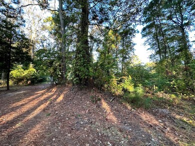 0.23 Mason Dr unit 11, Chincoteague, VA 23336 - photo 6