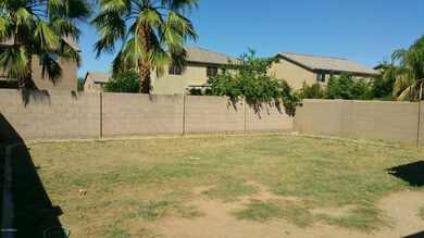 chalia back yard 2