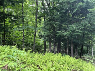 0 Lesperance Rd unit 1632283, Albion, ME 04910 - photo 7