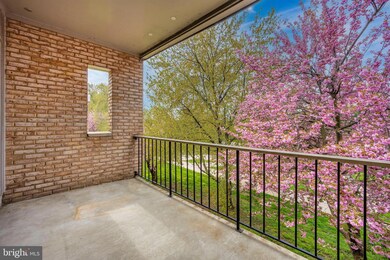 501 Prospect Blvd unit 36A, Frederick, MD 21701 - photo 7