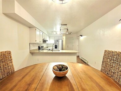 154 Fawn Ct unit 143, Silverthorne, CO 80498 - photo 7