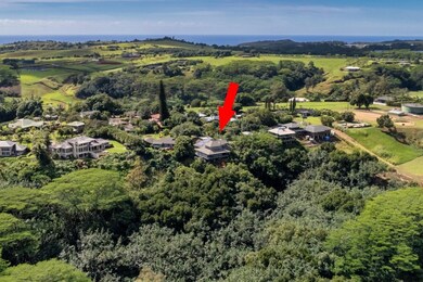 3732 Omao Rd unit 1, Koloa, HI 96756 - photo 5