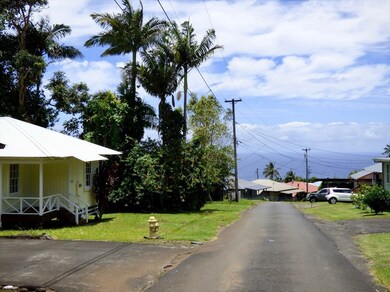 43-331 Paauilo Hui Loop, Paauilo, HI 96743 - photo 2