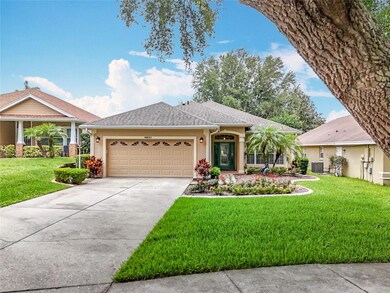 Long Driveway and Front Yard
