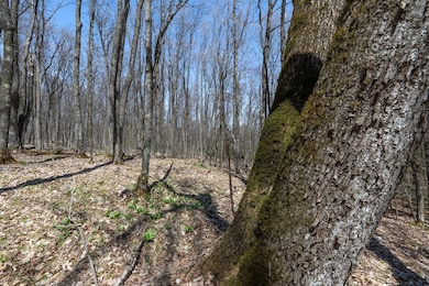 Lots 11-13 Rd, Presque Isle, WI 54557 - photo 6