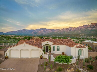 11064 N Pusch Ridge View Place