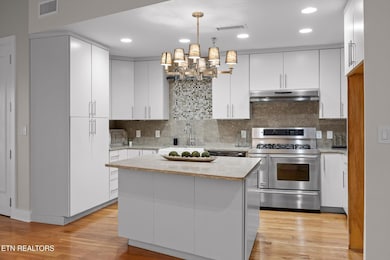 417 Frazier Ave unit 303, Chattanooga, TN 37405 - photo 3