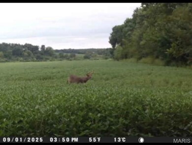 0 Knox Rd, Marceline, MO 64658 - photo 7
