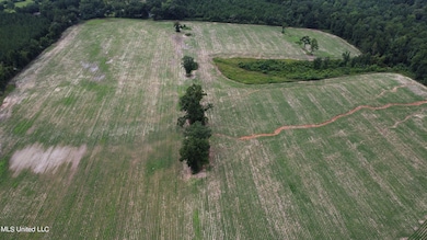 56 +- Ac Highway 63 N, Lucedale, MS 39452 - photo 6