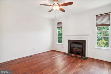 23204 Scholl Manor Way unit 1314, Clarksburg, MD 20871 - photo 6