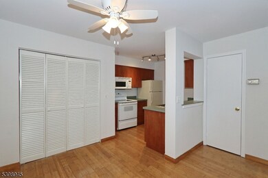 21 Parkside Road Ondo, Bedminster Twp., NJ 07921 - photo 5