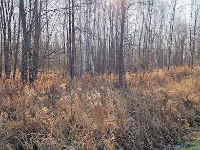 TBD Whistle Rd, Isle, MN 56342 - photo 4