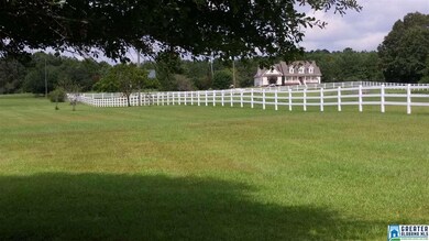 4054 Odens Mill Rd, Sylacauga, AL 35151 - photo 6