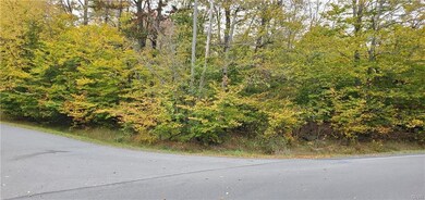 0 Waterfront Dr, Coolbaugh Township, PA 18466 - photo 2