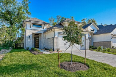 31042 Regal Elm Ln, Conroe, TX 77385 - photo 2