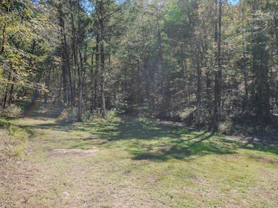 0 New Era Landing unit 17800450, Linden, TN 37096 - photo 2