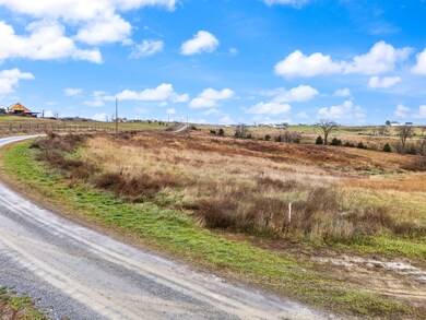 133 Tulip Poplar - Lot 5 Ln, Flemingsburg, KY 41041 - photo 7