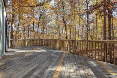 4802 Mechunk Rd, Keswick, VA 22947 - photo 4