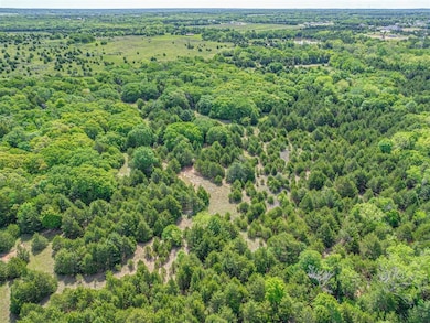 Bird's eye view of a forest