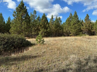 3 Garrison Rd, Goldendale, WA 98620 - photo 7