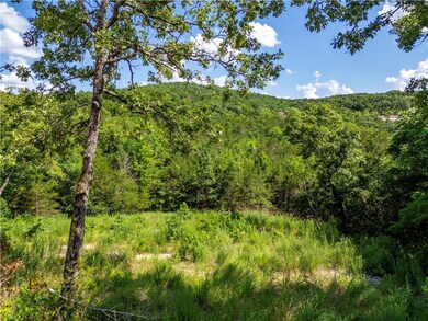 View of tree filled area