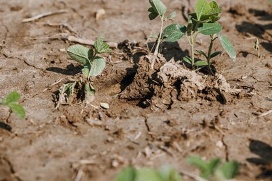 000 Shawneetown Ford Spur Tract A, Union, MO 63084 - photo 5