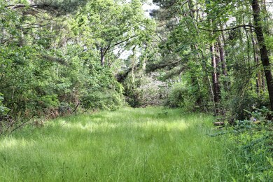 00 Louisiana 442, Tickfaw, LA 70466 - photo 7