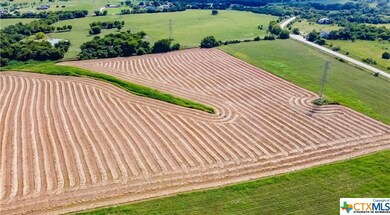 1419 E Young Ave, Temple, TX 76501 - photo 4