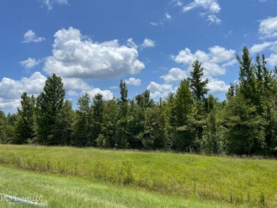 0 Canton Pkwy unit 4083990, Canton, MS 39046 - photo 6