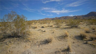 6919 Sierra Ave, Joshua Tree, CA 92252 - photo 3