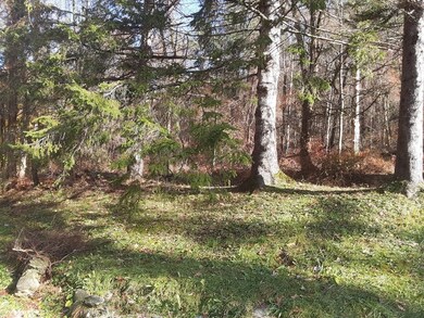 58 W Mineral Rd, Millers Falls, MA 01349 - photo 3