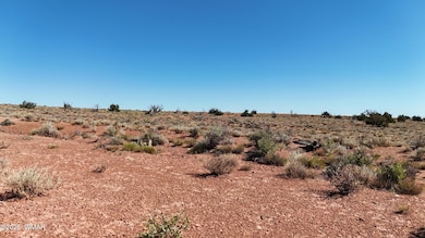 8272 Charolais Trail, Snowflake, AZ 85937 - photo 3