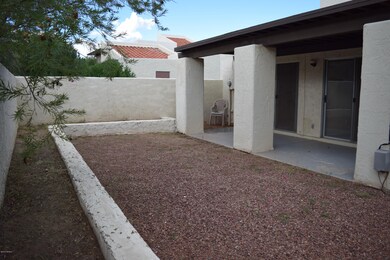 Backyard with raised planters