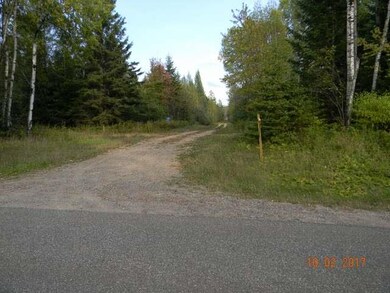 ON Tappa Rd, Deerbrook, WI 54424 - photo 3