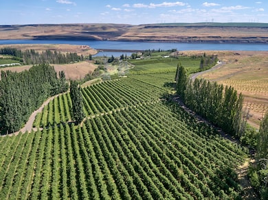 17 Sundale Dr, Roosevelt, WA 99356 - photo 5