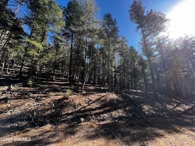 42 Forest View Rd, Cloudcroft, NM 88317 - photo 2