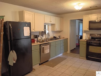 9805 N Farm Rd N 149 County Rd County Rd, Pleasantho, MO 65725 - photo 5