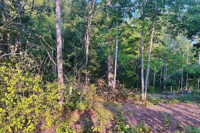 0 Alpine Cir, Breezy Point, MN 56472 - photo 6