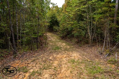 0 Tennessee 125, Henderson, TN 38340 - photo 4